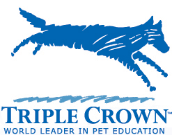 Dog Academy